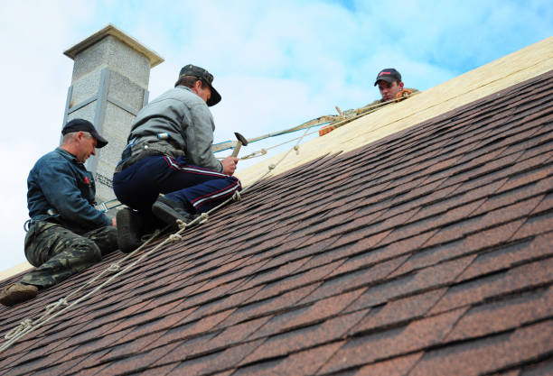 Best Storm Damage Roof Repair  in Connelly Springs, NC